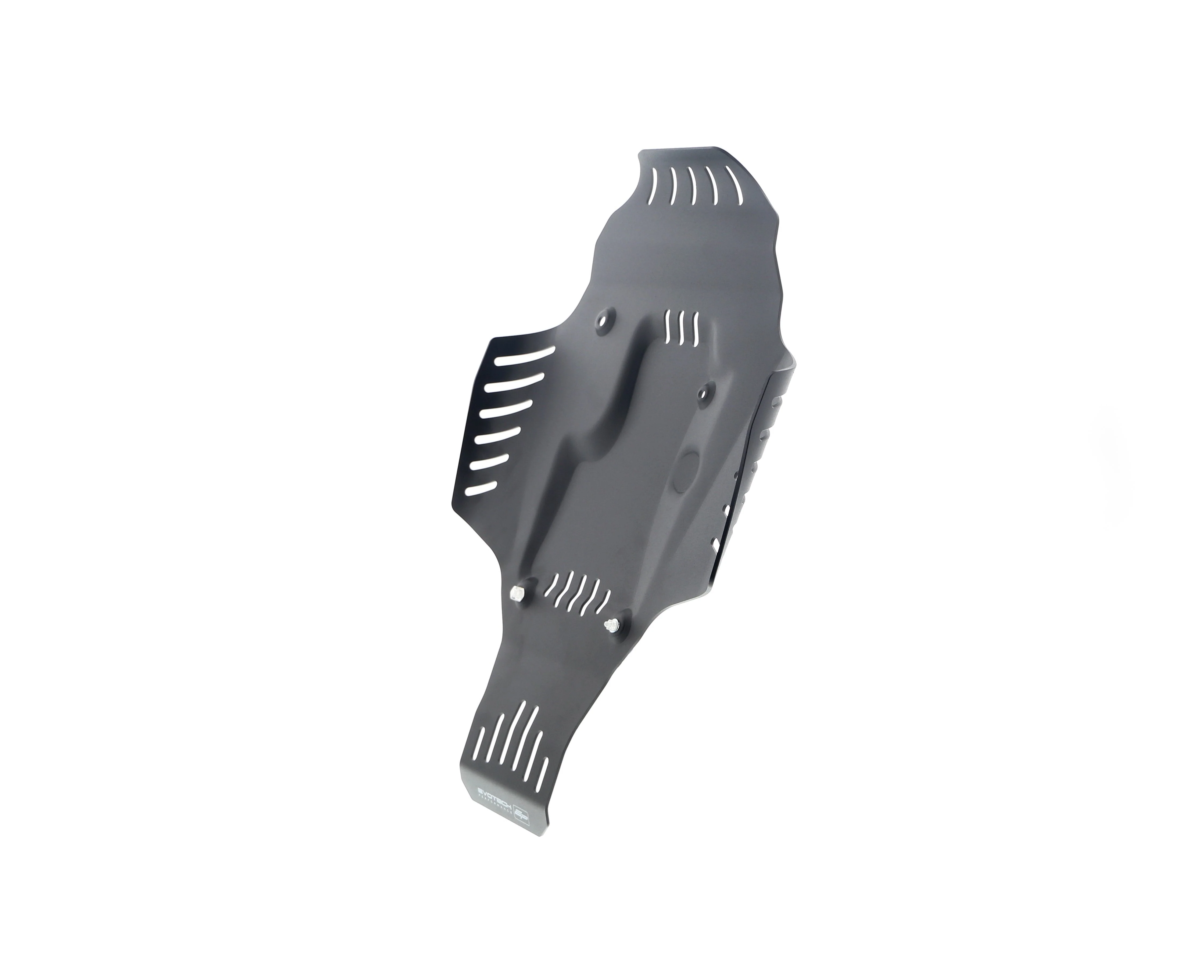Evotech BMW R 12 nineT Engine Guard (2024+) - Image 16