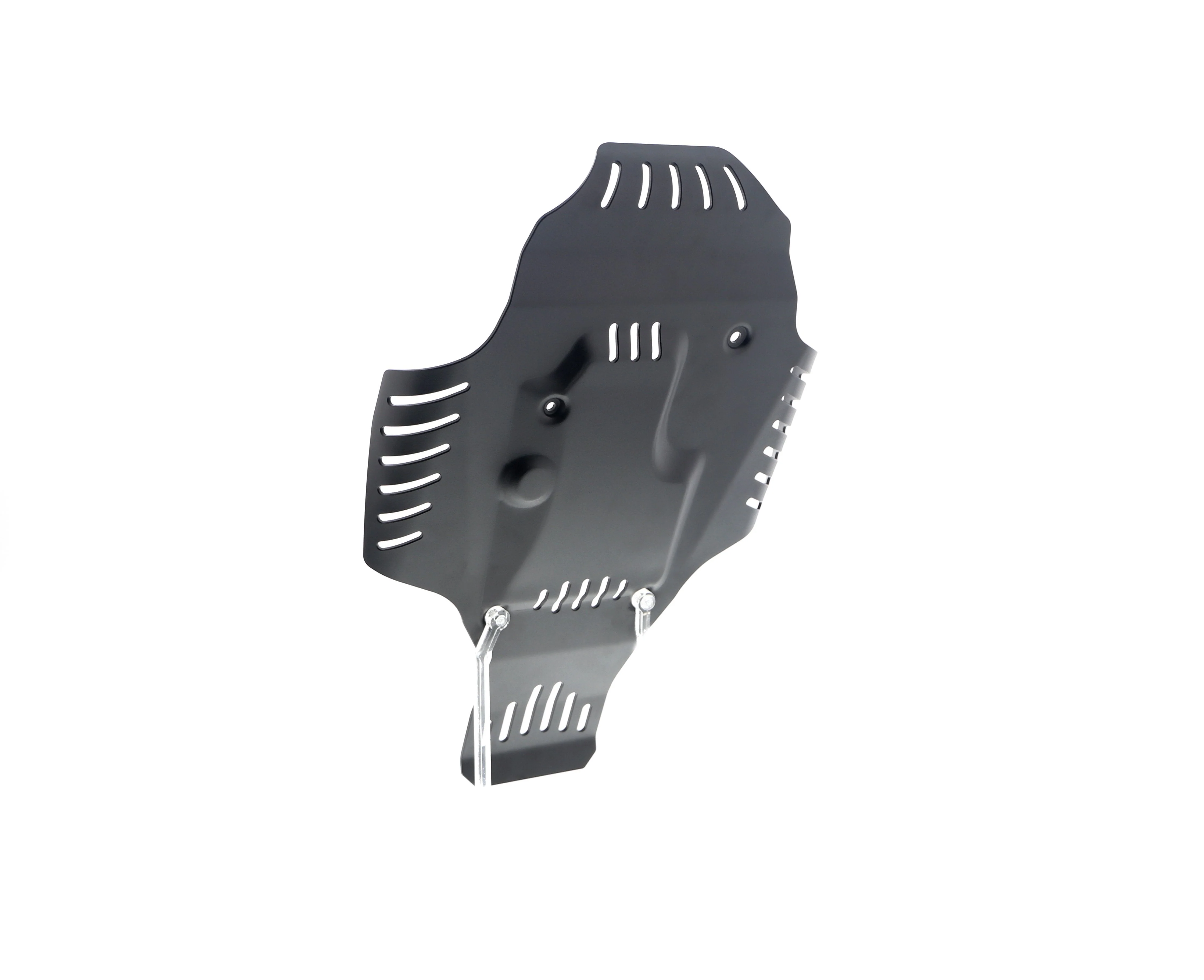 Evotech BMW R 12 nineT Engine Guard (2024+) - Image 22