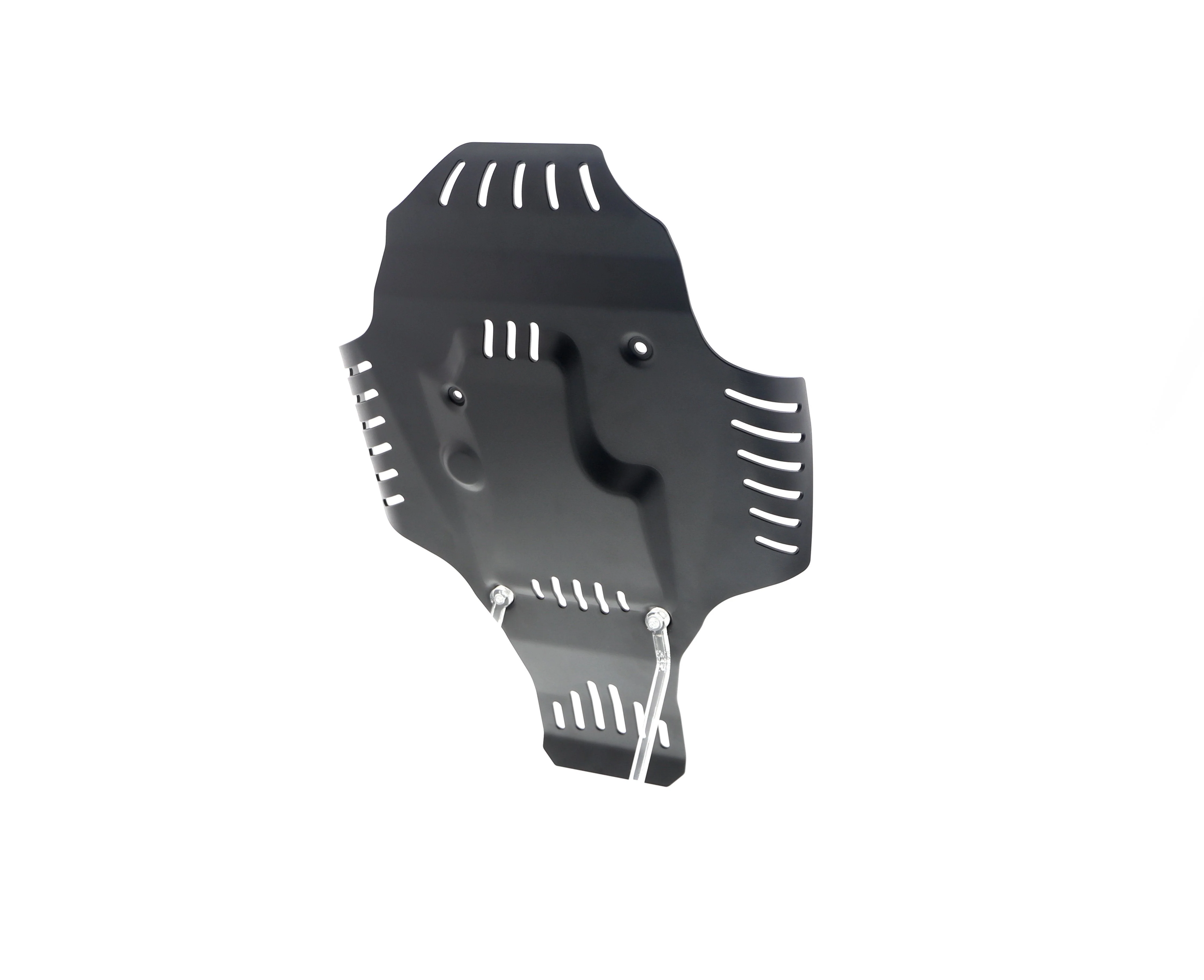 Evotech BMW R 12 nineT Engine Guard (2024+) - Image 26